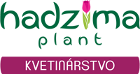 HADZIMA-PLANT_kvetinarstvo_logo-mobile-1
