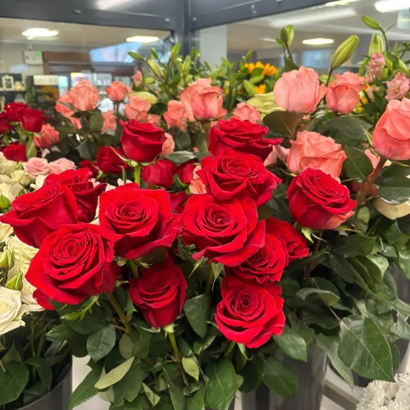 Kvetinárstvo Hadzima Plant Špačince