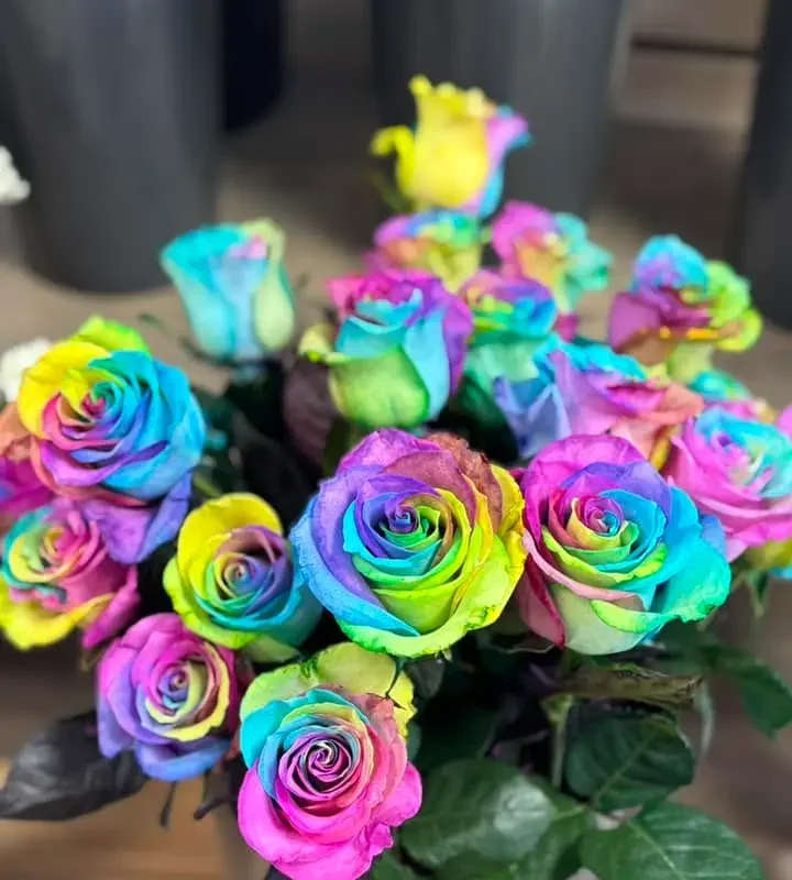 Kvetinárstvo Hadzima Plant Špačince