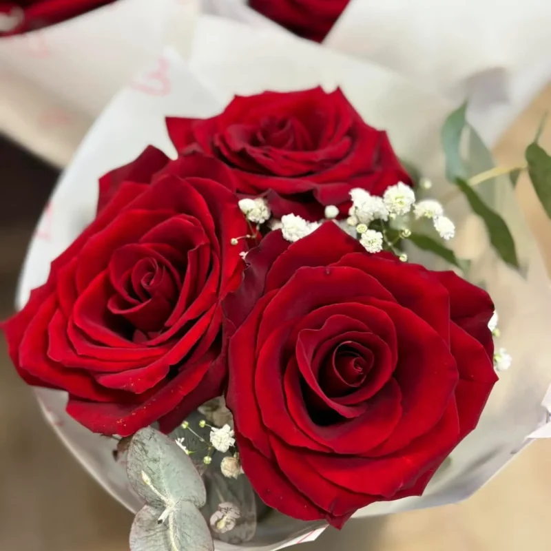 Kvetinárstvo Hadzima Plant Špačince