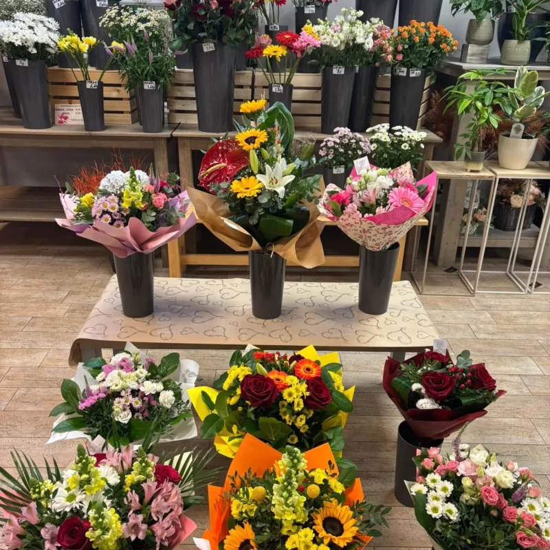 Kvetinárstvo Hadzima Plant Špačince