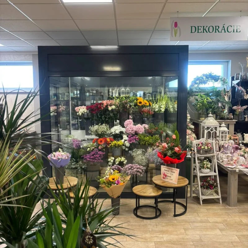 Kvetinárstvo Hadzima Plant Špačince