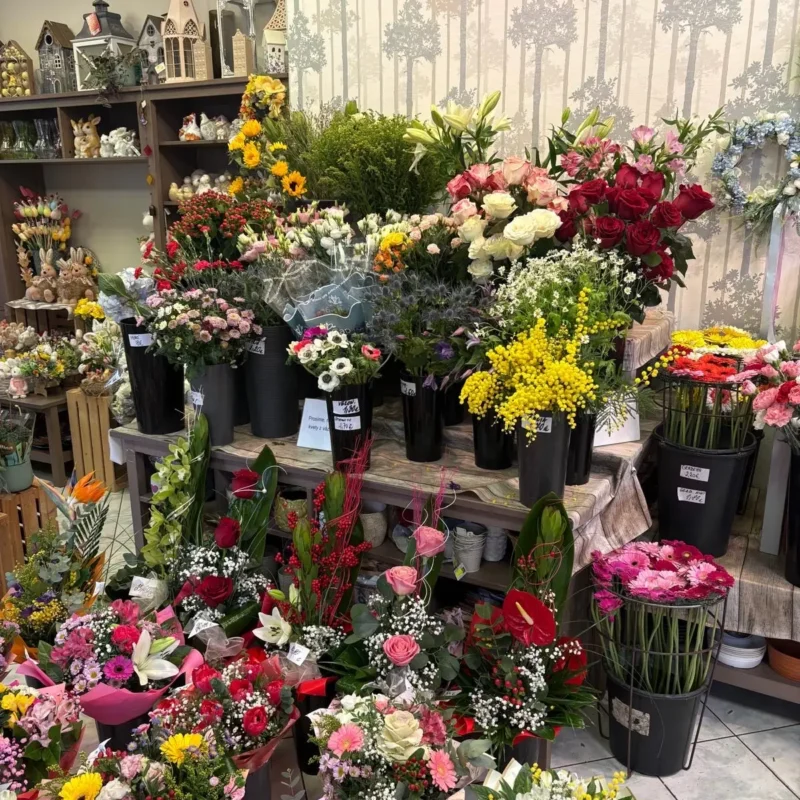 Kvetinarstvo Hadzima Plant Trnava