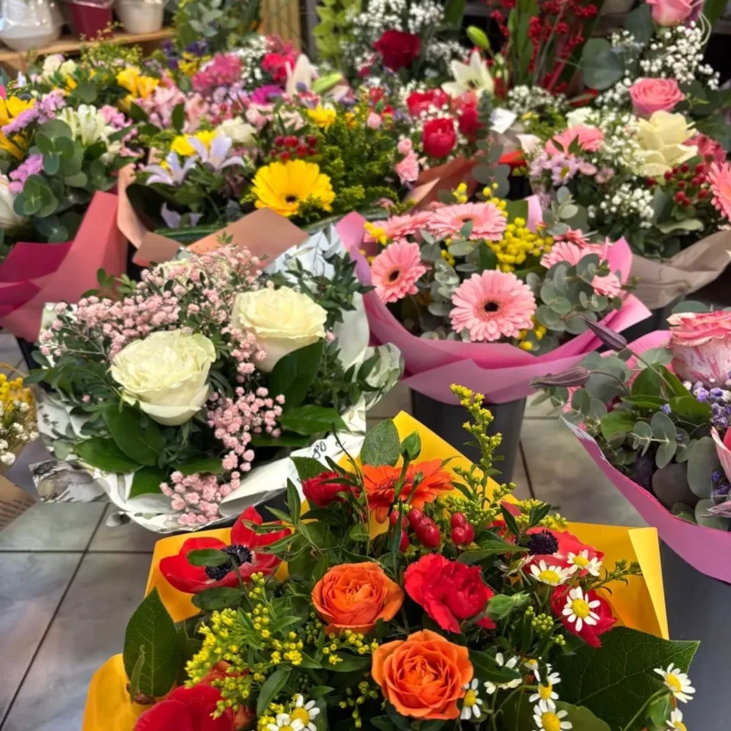 Kvetinarstvo Hadzima Plant Trnava