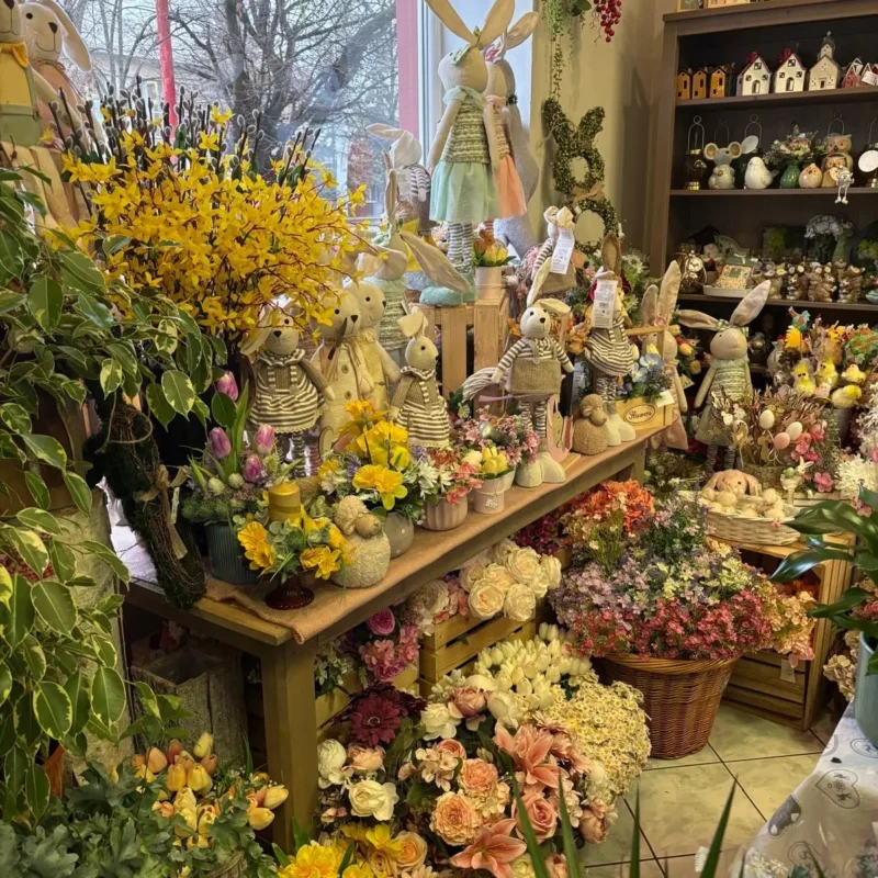 Kvetinarstvo Hadzima Plant Trnava