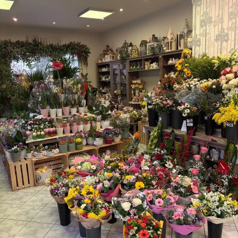 Kvetinarstvo Hadzima Plant Trnava