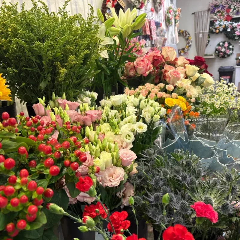 Kvetinarstvo Hadzima Plant Trnava