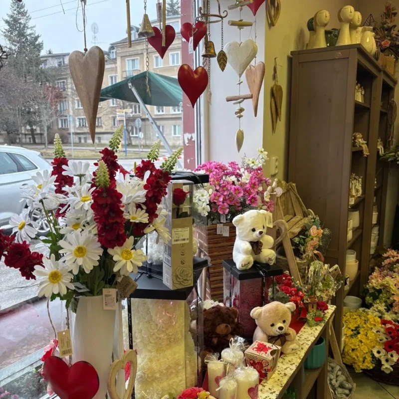 Kvetinarstvo Hadzima Plant Trnava