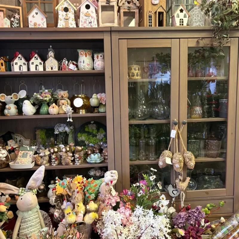 Kvetinarstvo Hadzima Plant Trnava