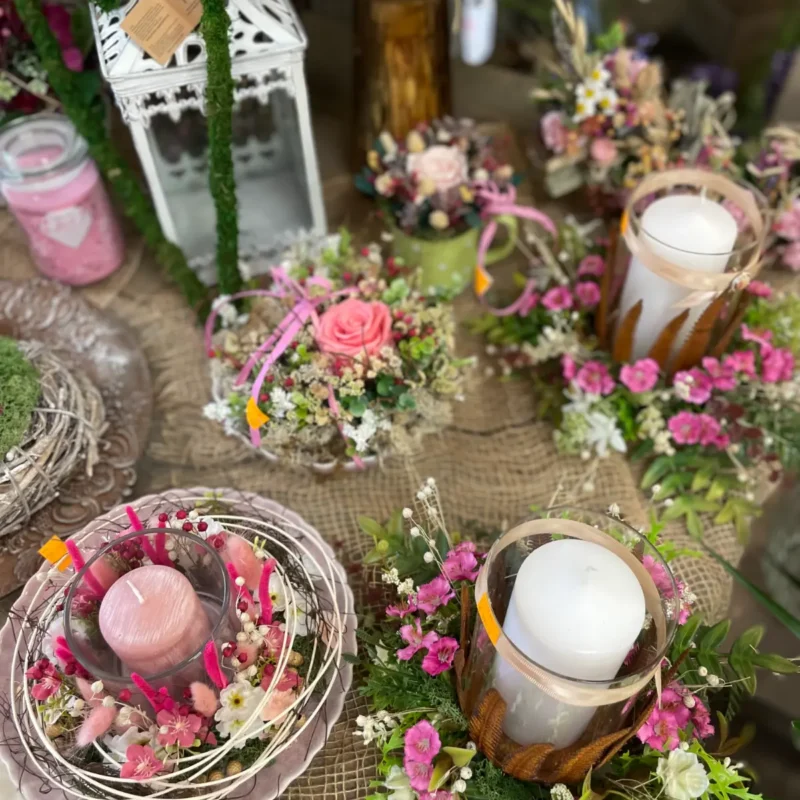 Ponuka - Kvetinárstvo Hadzima Plant Špačince