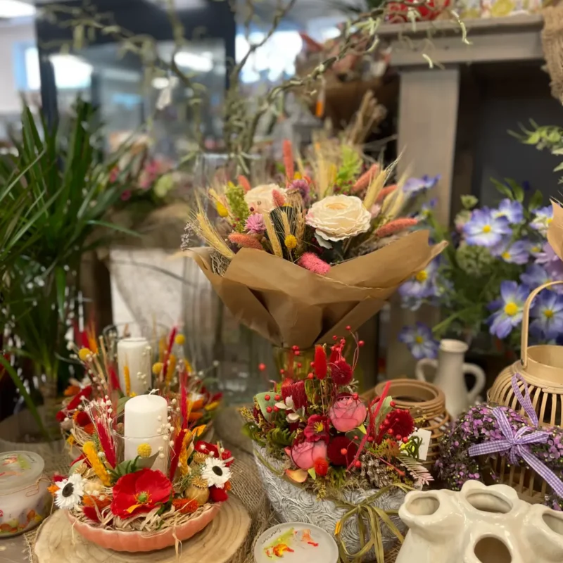 Ponuka - Kvetinárstvo Hadzima Plant Špačince