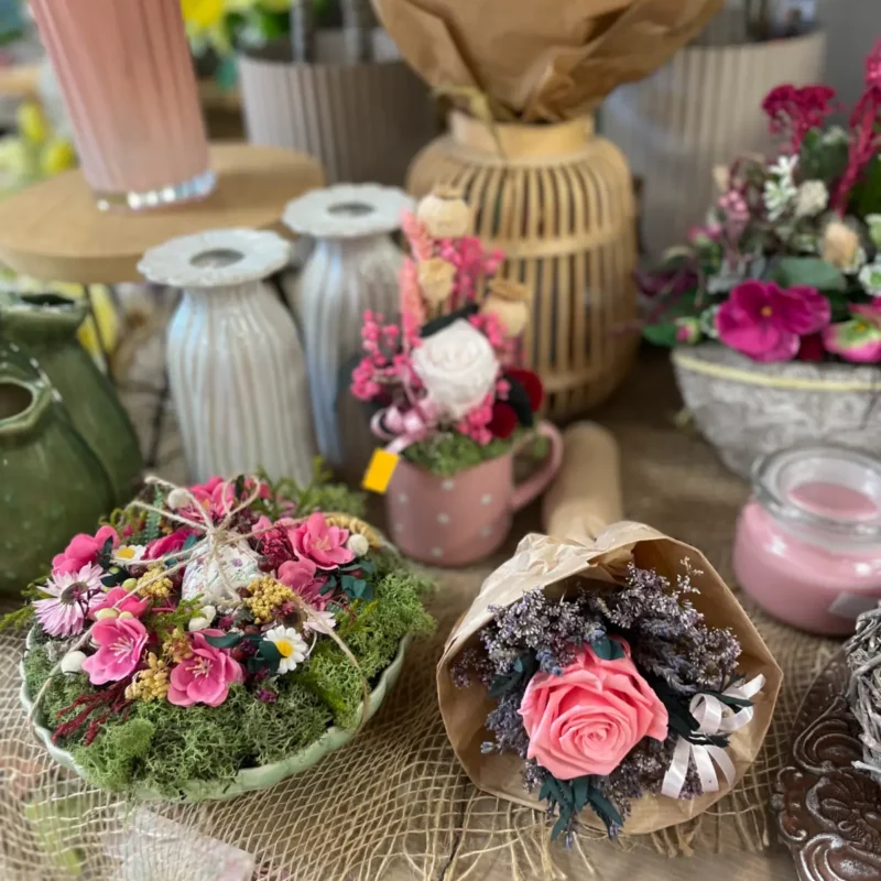 Ponuka - Kvetinárstvo Hadzima Plant Špačince