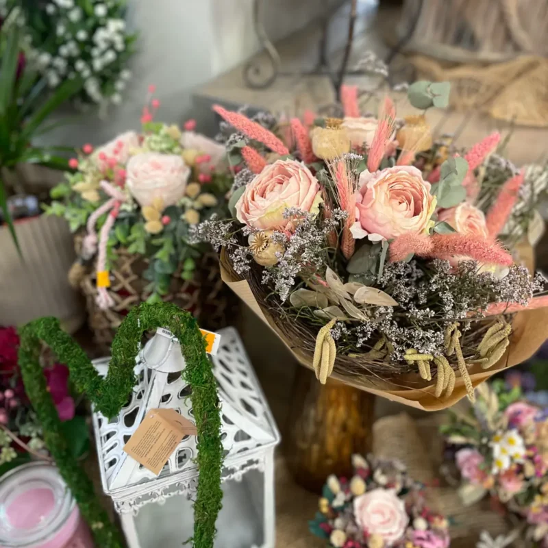 Ponuka - Kvetinárstvo Hadzima Plant Špačince