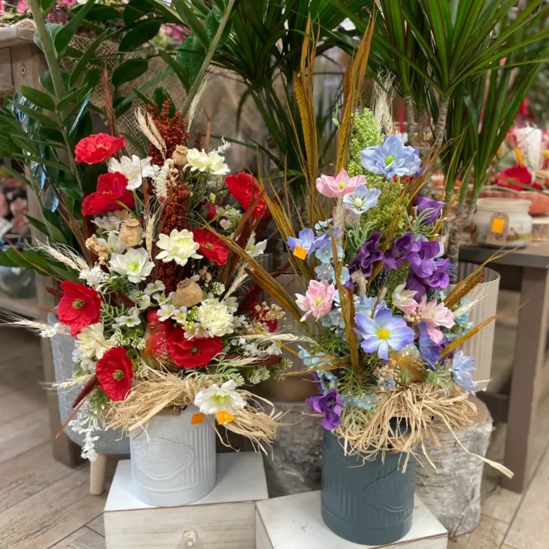 Ponuka - Kvetinárstvo Hadzima Plant Špačince