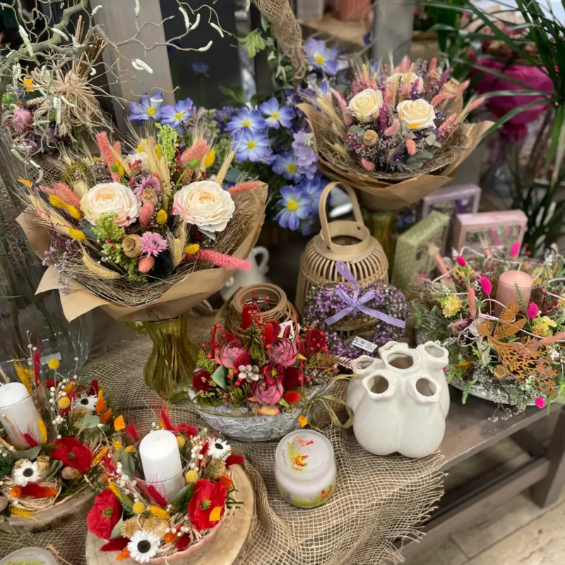 Ponuka - Kvetinárstvo Hadzima Plant Špačince