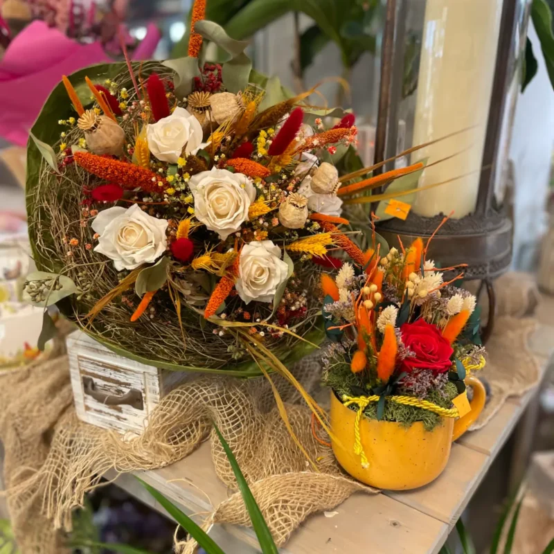 Ponuka - Kvetinárstvo Hadzima Plant Špačince